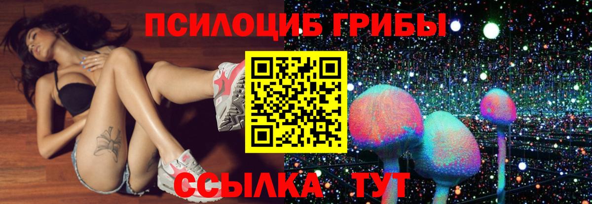 Москва  Псилоцибиновые грибы мухоморы  Вход с VPN 